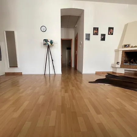 Apartment Shelby